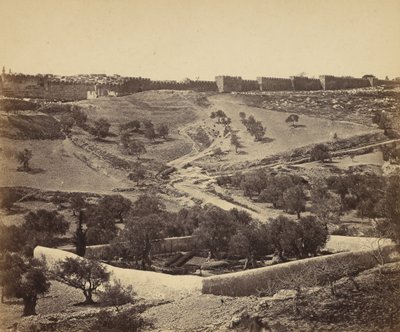 Jerusalem. Garden of Gethsemane by James Robertson